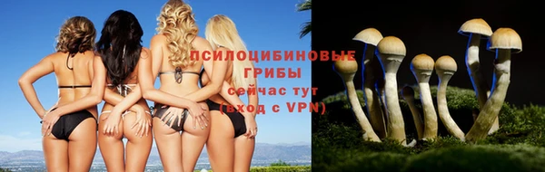 амфетамин Аркадак
